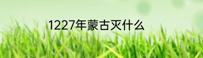 1227年蒙古灭什么