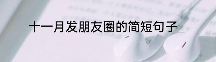 十一月发朋友圈的简短句子