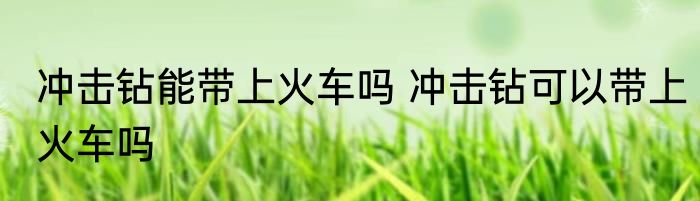 冲击钻能带上火车吗 冲击钻可以带上火车吗