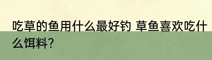吃草的鱼用什么最好钓 草鱼喜欢吃什么饵料？
