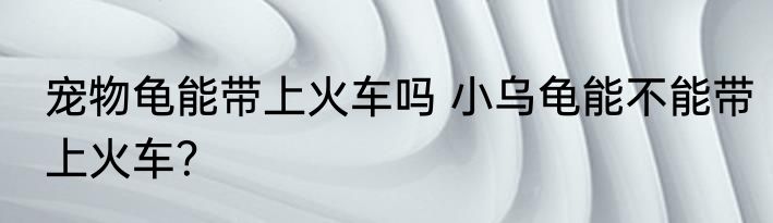 宠物龟能带上火车吗 小乌龟能不能带上火车？