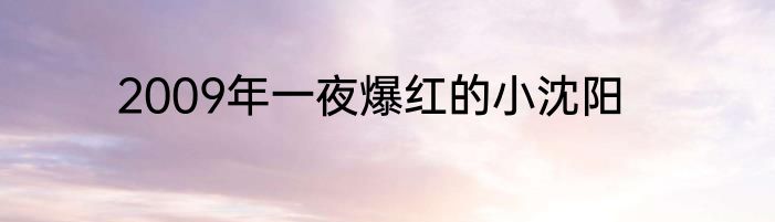 2009年一夜爆红的小沈阳