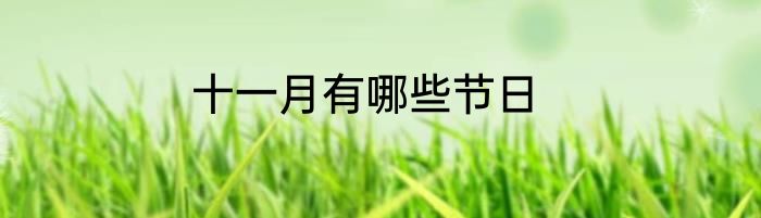 十一月有哪些节日