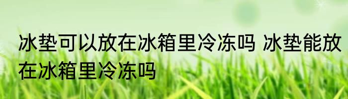 冰垫可以放在冰箱里冷冻吗 冰垫能放在冰箱里冷冻吗