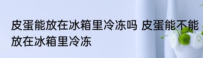 皮蛋能放在冰箱里冷冻吗 皮蛋能不能放在冰箱里冷冻