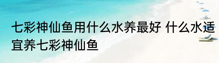 七彩神仙鱼用什么水养最好 什么水适宜养七彩神仙鱼