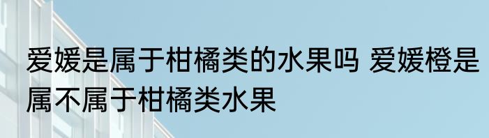 爱媛是属于柑橘类的水果吗 爱媛橙是属不属于柑橘类水果