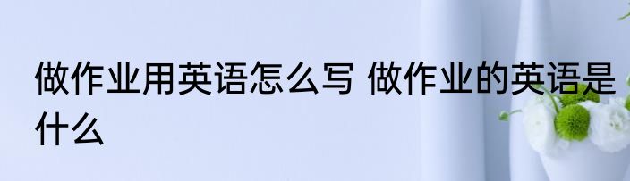 做作业用英语怎么写 做作业的英语是什么