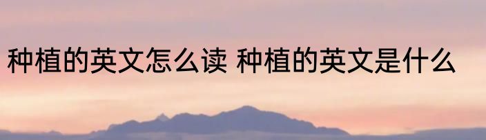 种植的英文怎么读 种植的英文是什么