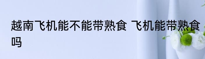 越南飞机能不能带熟食 飞机能带熟食吗