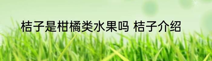 桔子是柑橘类水果吗 桔子介绍