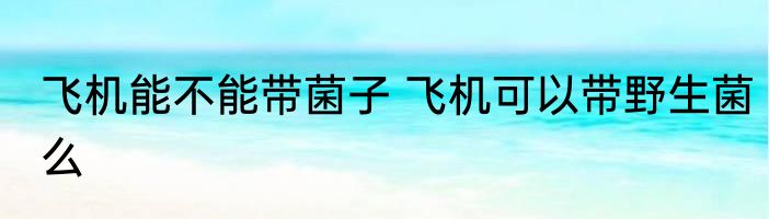 飞机能不能带菌子 飞机可以带野生菌么