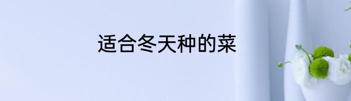 适合冬天种的菜