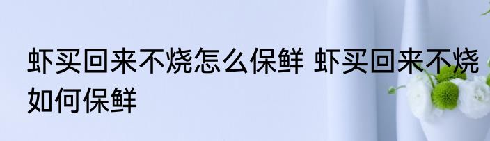虾买回来不烧怎么保鲜 虾买回来不烧如何保鲜