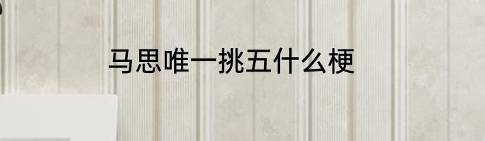 马思唯一挑五什么梗
