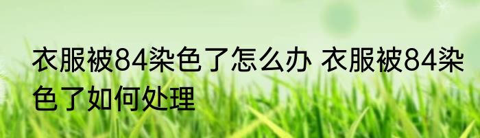 衣服被84染色了怎么办 衣服被84染色了如何处理