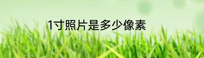 1寸照片是多少像素