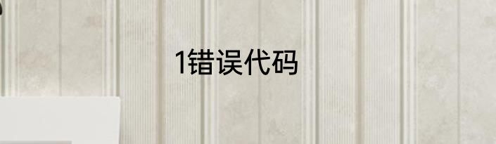 1错误代码