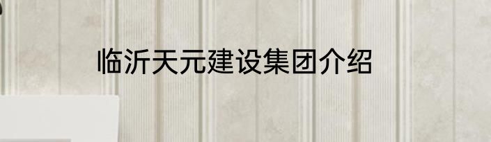 临沂天元建设集团介绍