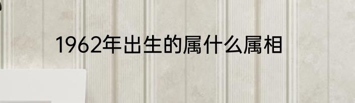1962年出生的属什么属相