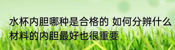 水杯内胆哪种是合格的 如何分辨什么材料的内胆最好也很重要