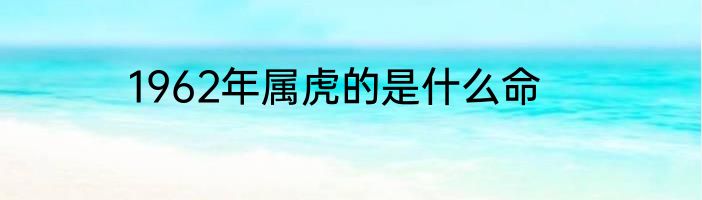 1962年属虎的是什么命
