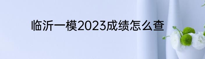 临沂一模2023成绩怎么查