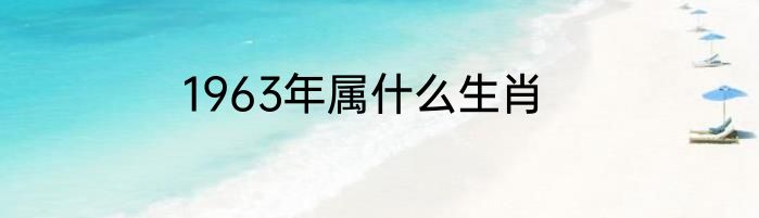 1963年属什么生肖