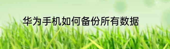 华为手机如何备份所有数据