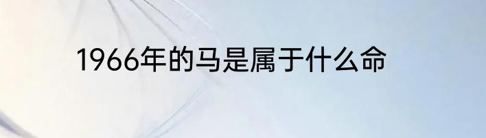 1966年的马是属于什么命