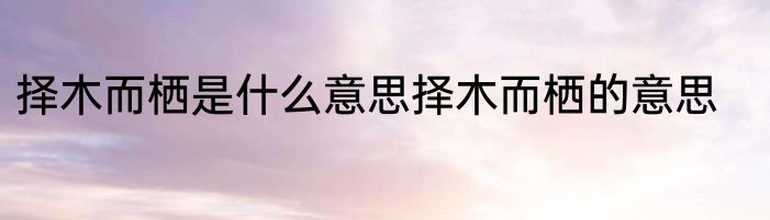 择木而栖是什么意思择木而栖的意思