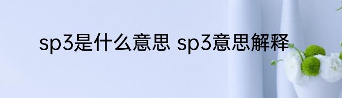 sp3是什么意思 sp3意思解释