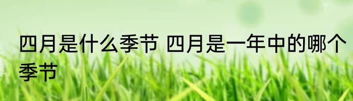 四月是什么季节 四月是一年中的哪个季节
