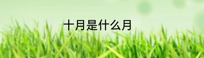 十月是什么月