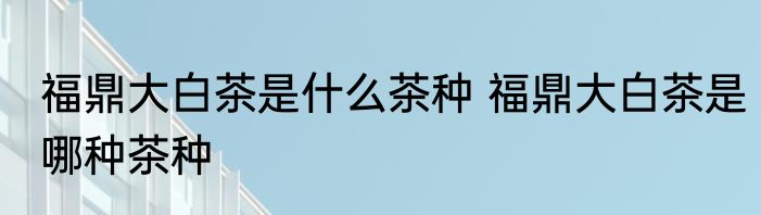 福鼎大白茶是什么茶种 福鼎大白茶是哪种茶种