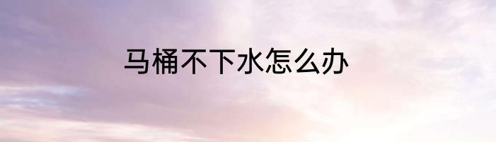 马桶不下水怎么办