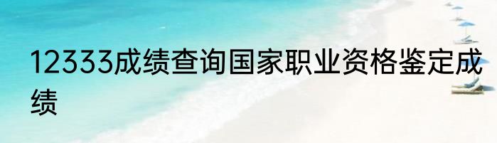12333成绩查询国家职业资格鉴定成绩