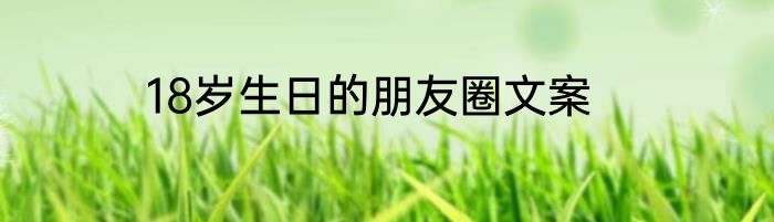 18岁生日的朋友圈文案