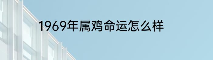 1969年属鸡命运怎么样