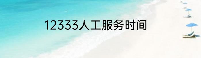 12333人工服务时间