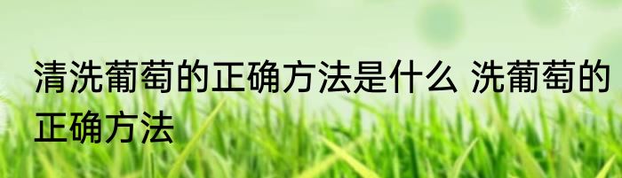 清洗葡萄的正确方法是什么 洗葡萄的正确方法