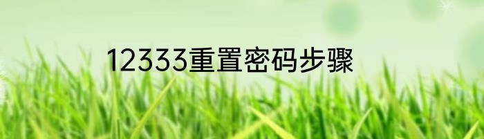 12333重置密码步骤