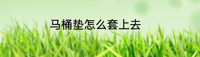 马桶垫怎么套上去