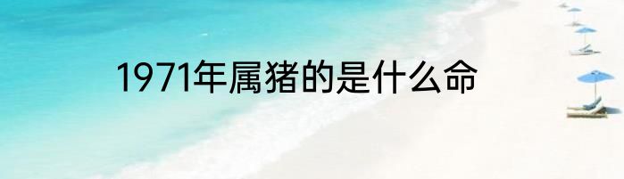 1971年属猪的是什么命