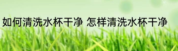 如何清洗水杯干净 怎样清洗水杯干净
