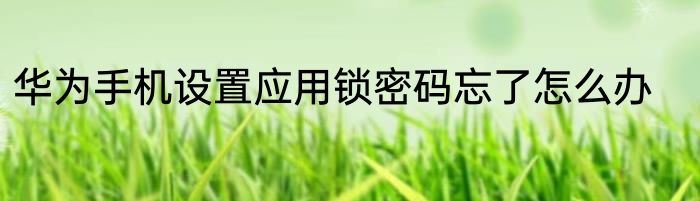 华为手机设置应用锁密码忘了怎么办