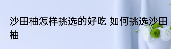 沙田柚怎样挑选的好吃 如何挑选沙田柚
