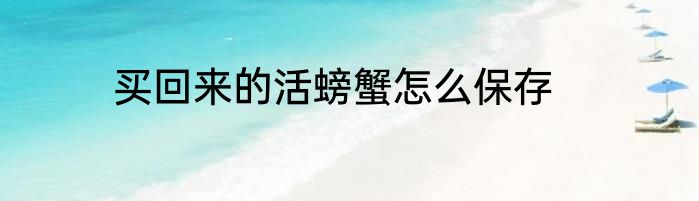 买回来的活螃蟹怎么保存