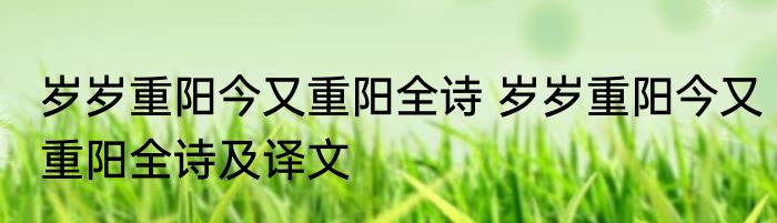 岁岁重阳今又重阳全诗 岁岁重阳今又重阳全诗及译文