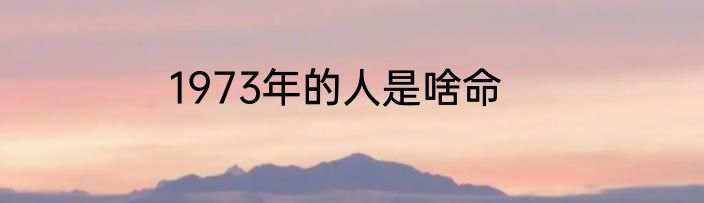 1973年的人是啥命